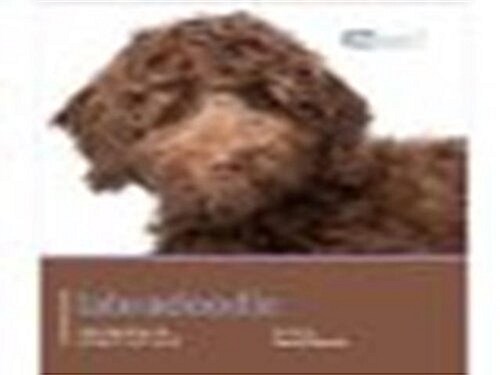 Labradoodle - Dog Expert (Paperback)