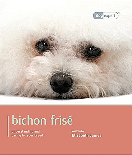 Bichon Frise : Bichon Frise - Dog Expert (Paperback)