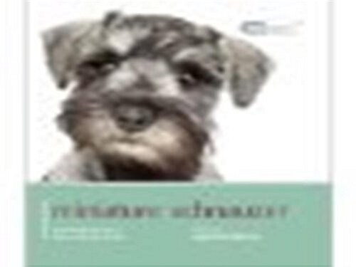 Miniature Schnauzer : Miniature Schnauzer - Dog Expert (Paperback)