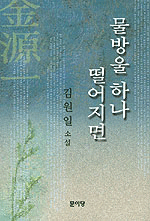 물방울 하나 떨어지면 :김원일 소설 