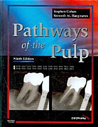 [중고] Pathways of the Pulp