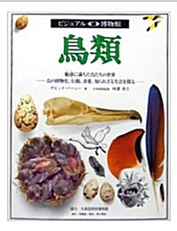 ビジュアル博物館 (Hardcover 80권)