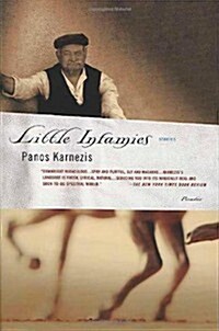 Little Infamies: Stories (Paperback)