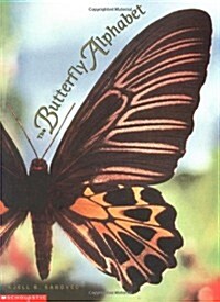 [중고] The Butterfly Alphabet (Paperback, Reprint)