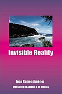 Invisible Reality (Paperback)