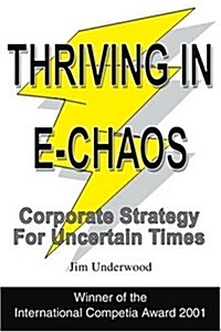 Thriving in E-Chaos: Corporate Strategy for Uncertain Times (Paperback)