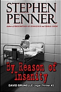 By Reason of Insanity: David Brunelle Legal Thriller #3 (Paperback)