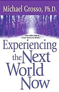 Experiencing the Next World Now (Paperback, Original)