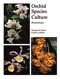 Orchid Species Culture: Dendrobium (Paperback)