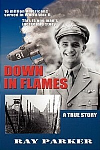Down in Flames (Paperback)