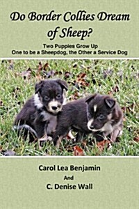 Do Border Collies Dream of Sheep? (Paperback)