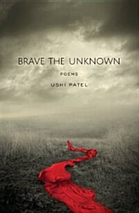 Brave the Unknown (Paperback)