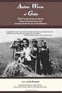 Amber Waves of Grain: Third in the Series of Stories about Growing Up in and Around Small Towns in the Midwest (Paperback)