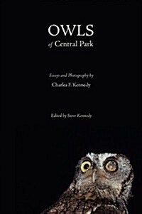 Owls of Central Park (Paperback)