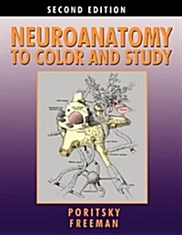 Neuroanatomy to Color and Study (Paperback)