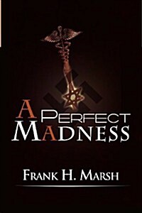 A Perfect Madness (Paperback)