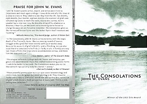 The Consolations (Paperback)