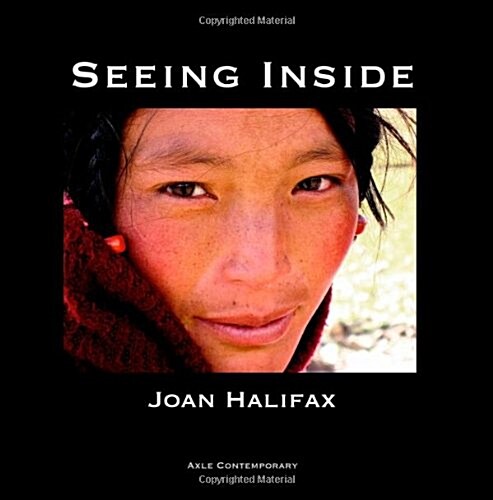 Seeing Inside (Paperback)
