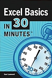 Excel Basics in 30 Minutes (Paperback)