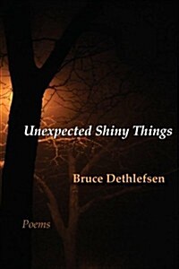 Unexpected Shiny Things (Paperback)