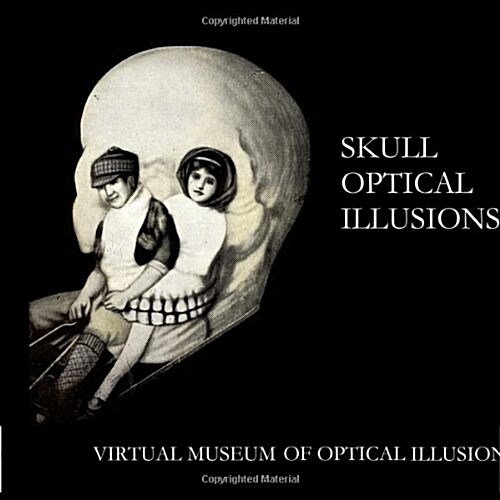 Skull Optical Illusions (Paperback)