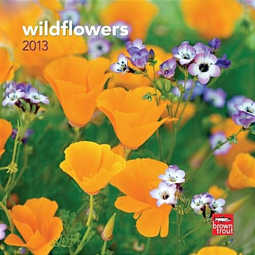 Wildflowers 2013 7X7 Mini Wall (Calendar, Min Wal)