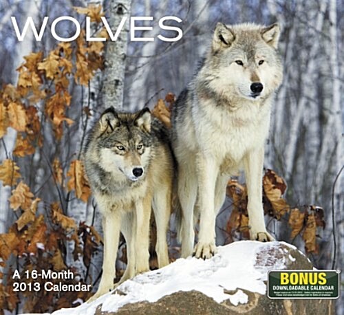 2013 Wolves Wall Calendar (Calendar, 16m Wal)