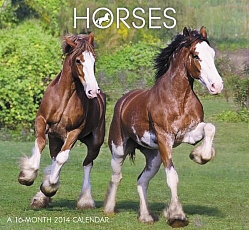 2014 Horses Mini Calendar (Calendar, 16m Min Wa)