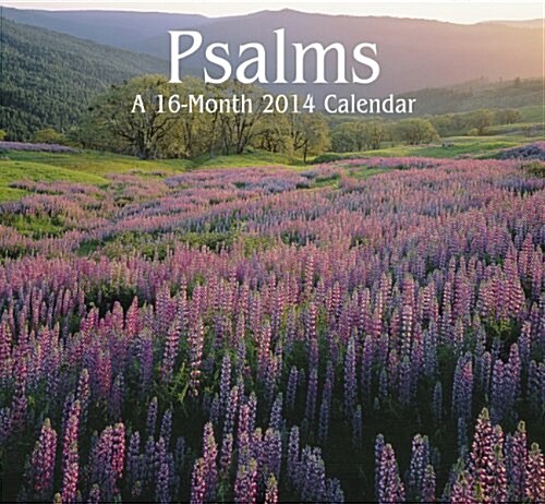 2014 Psalms Mini Calendar (Calendar, 16m Min)