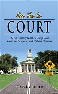 See You in Court: A Trial Attorneys Look at Crazy Cases, Ludicrous Lawyering and Dubious Decisions (Paperback)