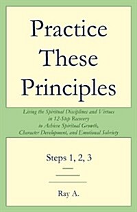 Practice These Principles: Living the Spiritual Disciplines and Virtues in 12-Step Recovery to Achieve Spiritual Growth, Character Development, a (Paperback)
