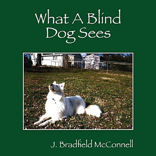 What a Blind Dog Sees (Paperback)