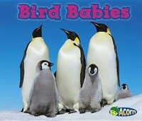 Bird Babies (Paperback)