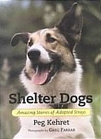 Shelter Dogs: Amazing Stories of Adopted Strays (Library Binding, Reprint)