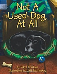 Not a Used Dog, at All (Paperback)