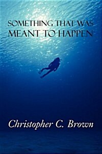 Something That Was Meant to Happen (Paperback)
