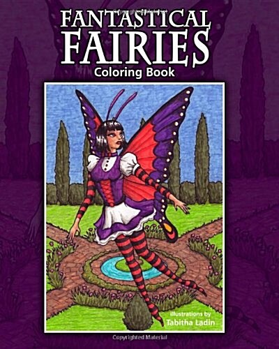Fantastical Fairies: Coloring Book (Paperback)
