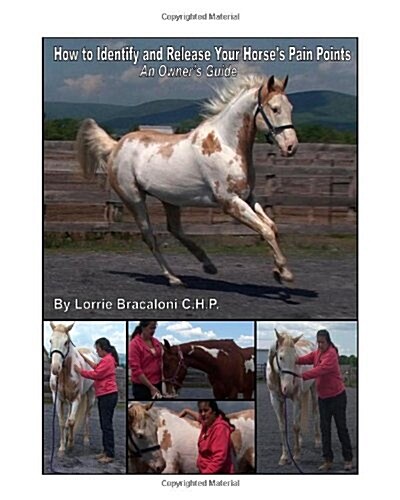 How to Identify and Release Your Horses Pain Points: An Owners Guide (Paperback)