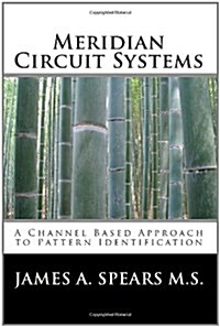 Meridian Circuit Systems: A Channel Based Approach to Pattern Identification (Paperback)