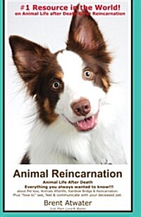 Animal Reincarnation: Everything You Always Wanted to Know! about Pet Reincarnation plus how to techniques to see, feel & communicate with (Paperback)