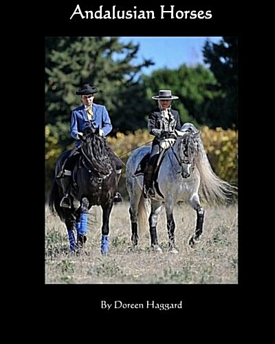 Andalusian Horses (Paperback)