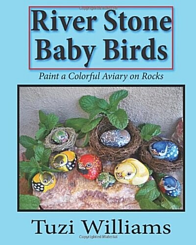 River Stone Baby Birds: Paint a Colorful Aviary on Rocks (Paperback)