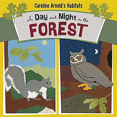 A Day and Night in the Forest (Hardcover)