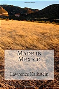 Made in Mexico (Paperback, 2nd)