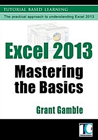 Excel 2013 Mastering the Basics (Paperback)