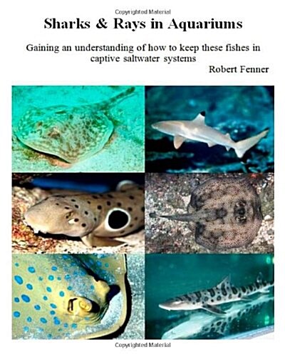 Sharks & Rays in Aquariums: Gaining an Understanding of How to Keep These Fishes in Captive Saltwater Systems (Paperback)
