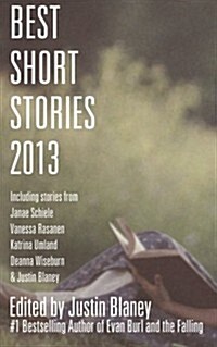 Best Short Stories 2013 (Paperback)