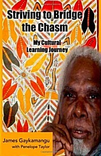 Striving to Bridge the Chasm: My Cultural Learning Journey (Paperback)