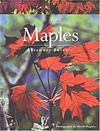 Maples (Paperback)