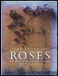 The Glory of Roses (Hardcover, 1ST)